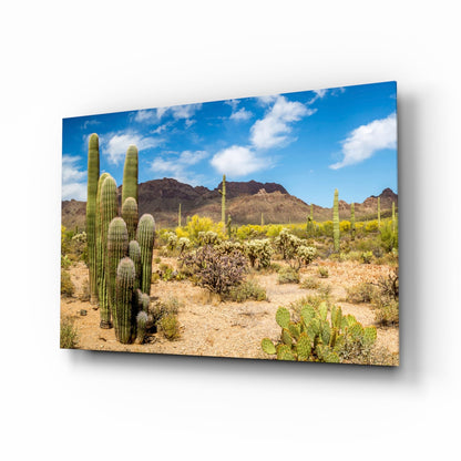 Cactuses Glass Wall Art