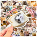(50 pcs) Cat Stickers for Cat Lovers