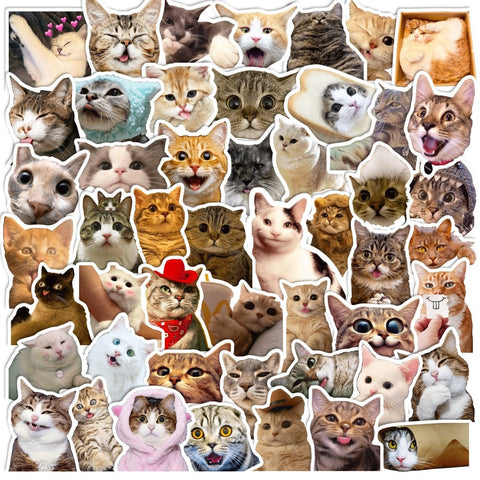 (50 pcs) Cat Stickers for Cat Lovers